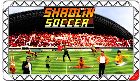Site fran�ais de Shaolin Soccer