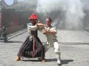 S�ries TV : Nanshan Shaolin