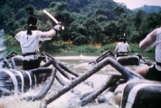 plus de sous pour faire voler les b&ecirc;b&ecirc;tes